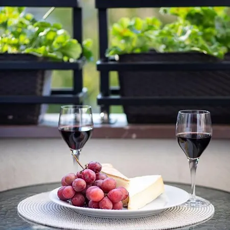 Apartment Vincent Zoppot